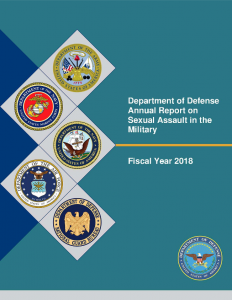 2019  report cover