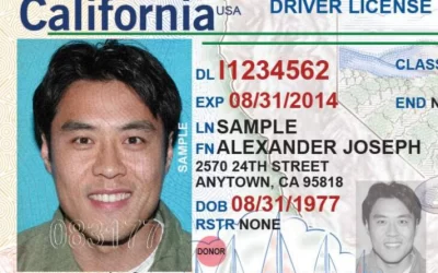 MLTF opposes California SB 1081 to tie draft registration to drivers’ licenses